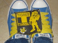 Blue Low Cut Chucks  Wearing blue lowcuts with wide yellow shoelaces.