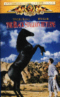 Black Stallion Returns cover