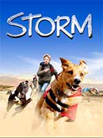 storm cover