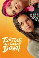 Turtles All the Way Down cover